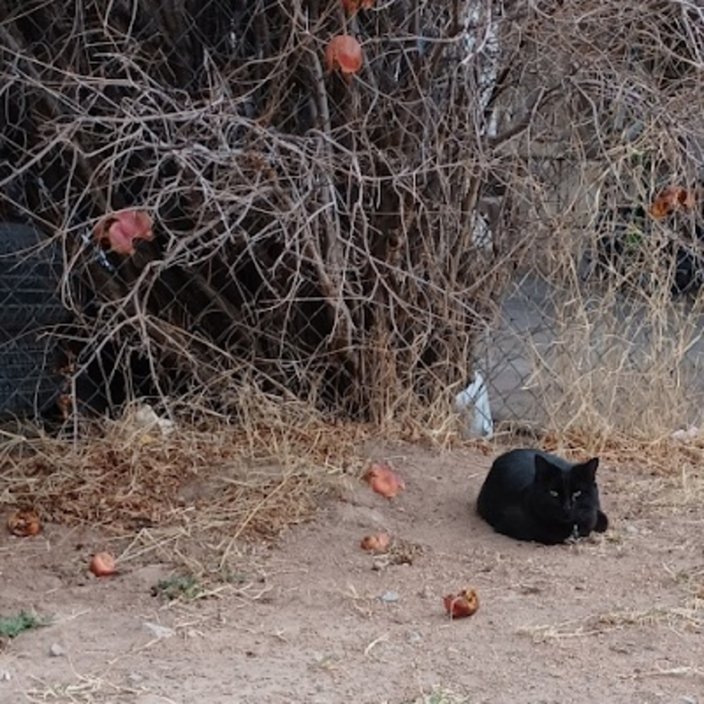 Meet your Posher, Tash